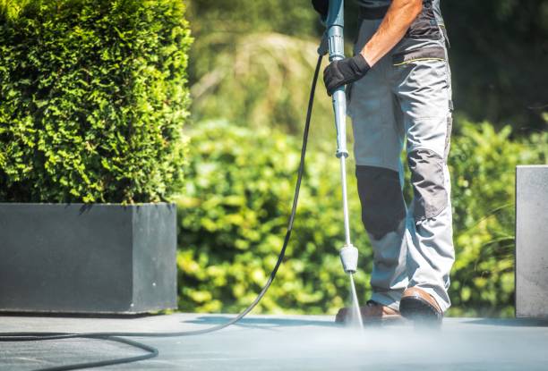 Best Animal Enclosure Cleaning  in Laton, CA