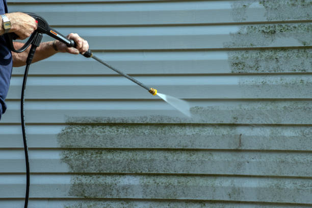 Best Roof Washing  in Laton, CA